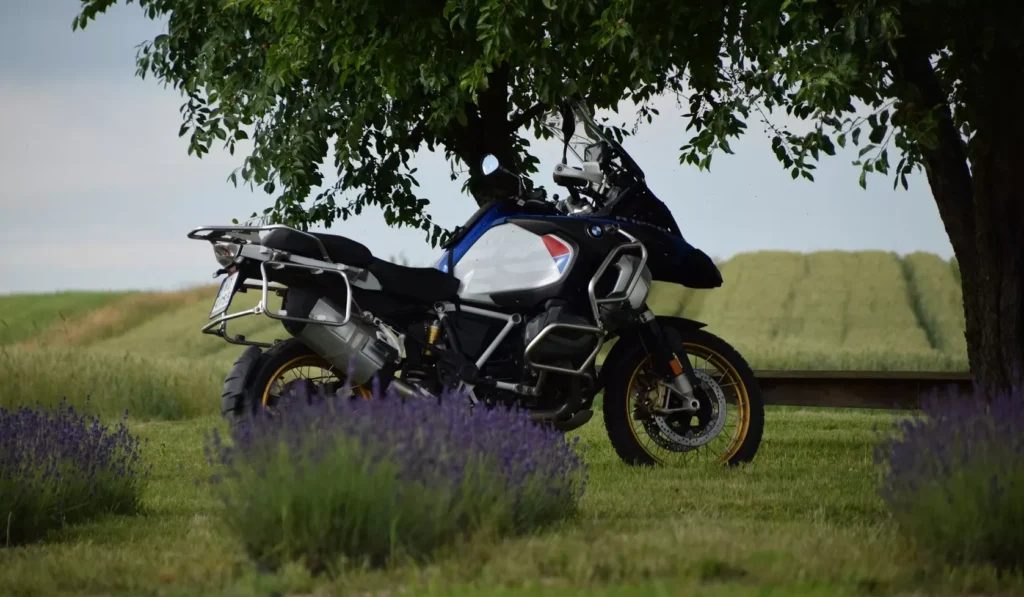 Garaje de motocicletas en Cracovia. Viajes en motocicleta por Polonia 8 Motocykl BMW R 1250 GS Adventure zaparkowany pod drzewem obok pola lawendy – wypożyczalnia motocykli Motorland.rent Kraków Balice