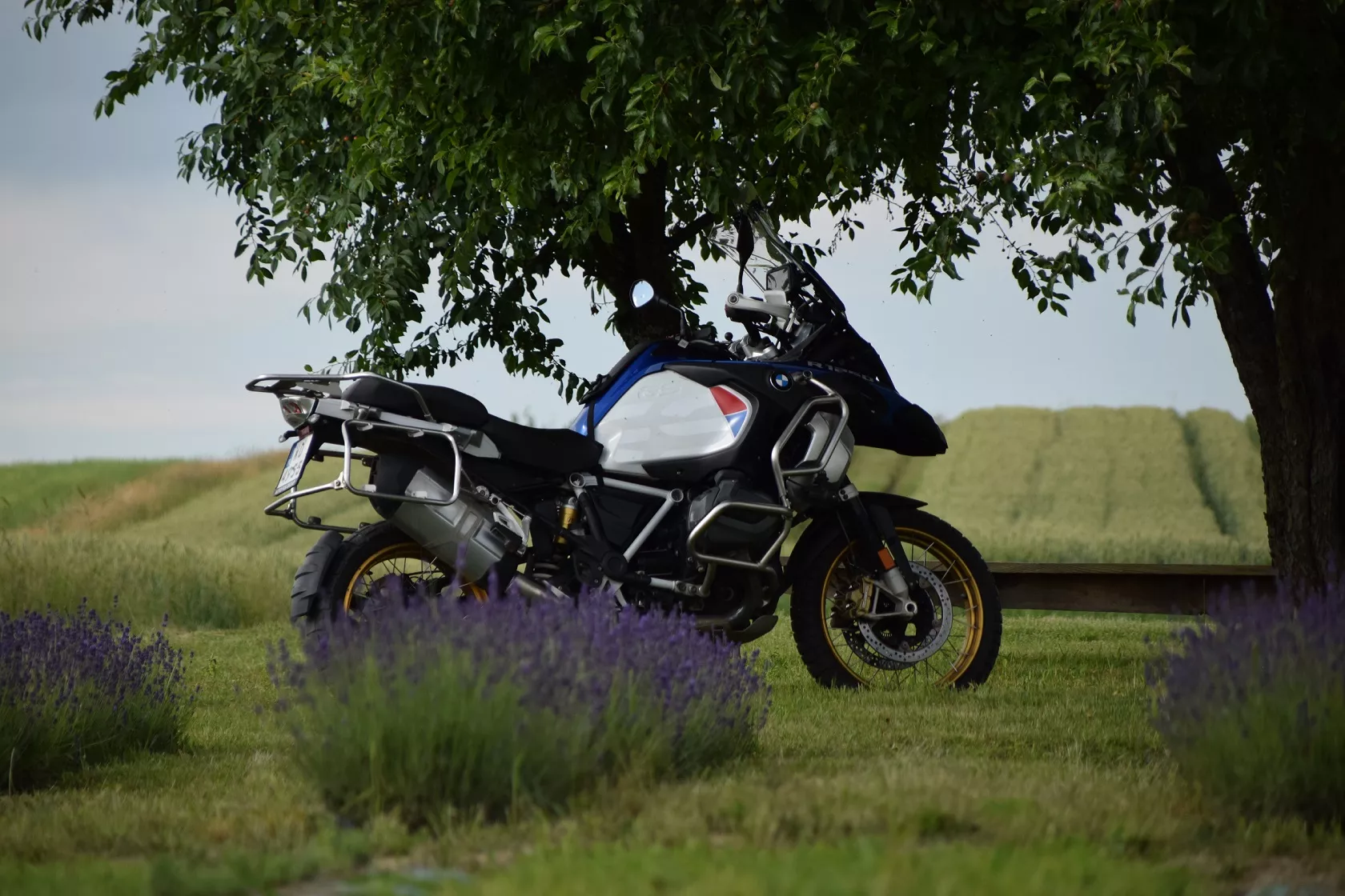 Garaż motocyklowy w Krakowie. Podróże motocyklowe w Polsce 2 Motocykl BMW R 1250 GS Adventure zaparkowany pod drzewem obok pola lawendy – wypożyczalnia motocykli Motorland.rent Kraków Balice